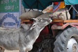 DSC_0276_2.jpg