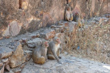 DSC_0802_2.jpg
