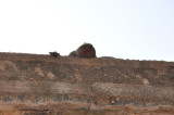 DSC_0858_2.jpg