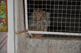 DSC_0888_2.jpg