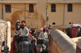 DSC_0227_2.jpg