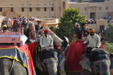 DSC_0240_2.jpg