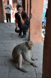 DSC_0854_3.jpg