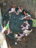 IMG_6276.jpg