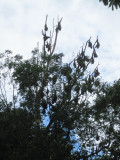 IMG_6640.jpg