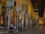 IMG_9308_6_1.JPG