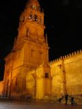 IMG_9377_12_1.JPG