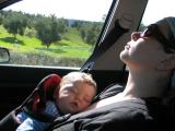 IMG_8456_2_1.JPG