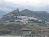 IMG_8461_4_1.JPG