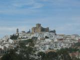 IMG_9267_10_1.JPG