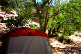 Our Tent among the trees, Primitive camping