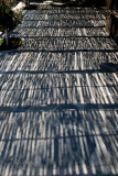 Todos Santos Walkway Shadows