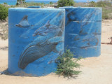 Cabo Pulmo Water Tanks
