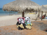 The Pandafords at Cabo Pulmo