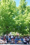 Crowd watching parade on East Main Street