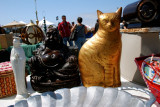 Buddha Cat
