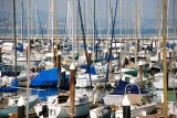 SF Marina Yacht Harbor