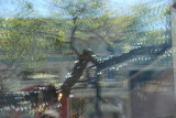 Fillmore Street Window Reflection