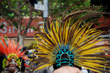 Carnival Feathers