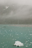 Glacier Bay