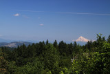 View from the 2nd story,Lake Oswego 