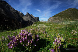 Parc national de la Vanoise-Alpes