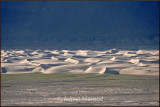 Sand Dunes.jpg