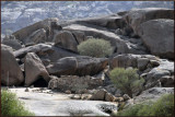 Inside Al-Shada Mountain.jpg