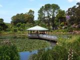  Wollongong Botanic Gardens