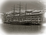 Sail boat Darling Harbour Sydney