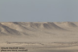 Desertic area around Dakhla (Western Sahara)