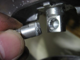 Stems_Apart 004a.JPG
