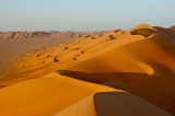 Empty Quarter dune