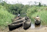 Pirogues at Buda village (Baloumbu), by Lake Cachimba, South Gabon. 14/1/95.