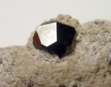 Almandine, Garnet Hill, White Pine County, Nevada, USA. 1 cm lustrous dark garnet crystal on 6 x 3 cm rhyolite matrix