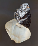 Cassiterite, glossy sharp 32 mm crystal group on a doubly terminated 3 cm quartz crystal. Sakangyi area, west of Mogok, Burma.