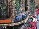 Whimsical Train Set at Botanical Garden Chrsitmas 2009.