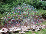 Grounds for Sculpture NJ