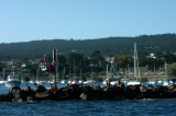 Harbor of Monterey, California