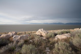 Antelope Island, UT