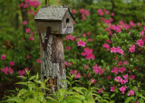 OLD BIRDHOUSE  -  SONY 50mm f/1.8 E-MOUNT LENS