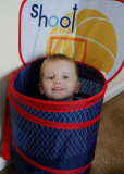 A COLBY-IN-THE-BOX  -  ISO 6400