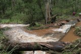 Queen Mary Falls