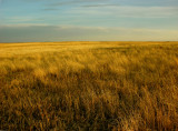 Colorado Eastern Plains