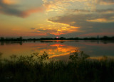 Surise Reflection