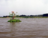 Lake Naivasha