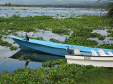 Yachting club, Naivasha