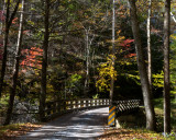 Tremont Bridge