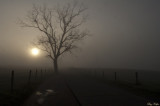 Alone