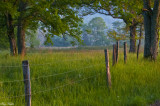 Morning Sun Across a Spring Field- Cades Cove